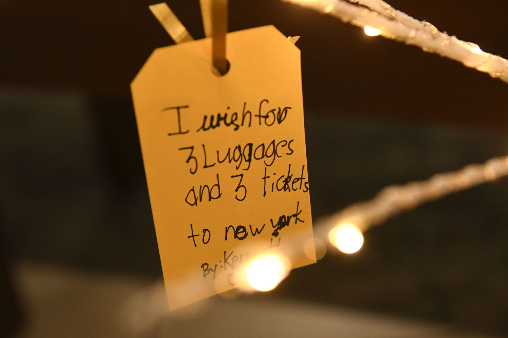 120219 Wishing trees 14.jpg